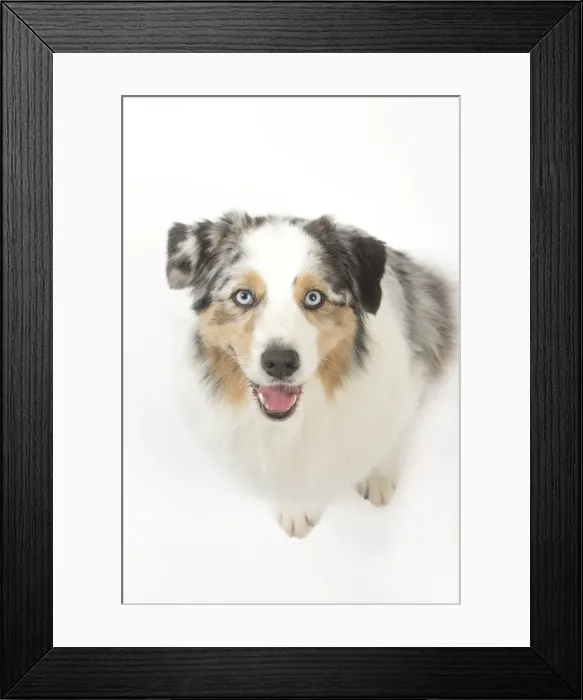 Framed Print : Picture No. 11981294 Framed Print : Picture No. 11981294