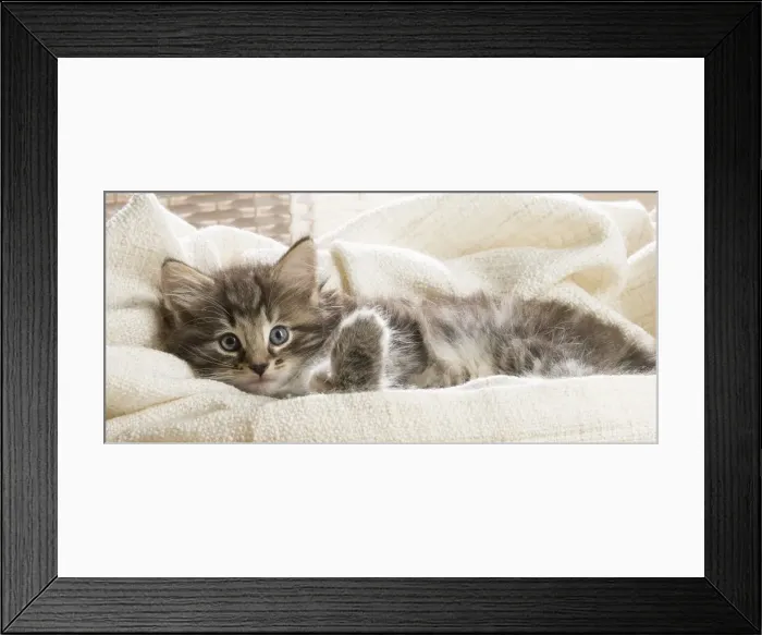 Framed Print : Picture No. 11981299 Framed Print : Picture No. 11981299
