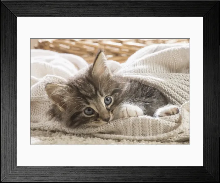 Framed Print : Picture No. 11981301 Framed Print : Picture No. 11981301