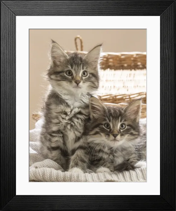 Framed Print : Picture No. 11981302 Framed Print : Picture No. 11981302