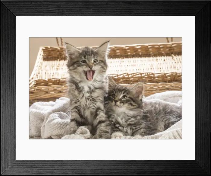 Framed Print : Picture No. 11981304 Framed Print : Picture No. 11981304