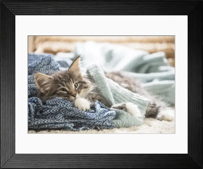 Framed Print : Picture No. 11981313 Framed Print : Picture No. 11981313
