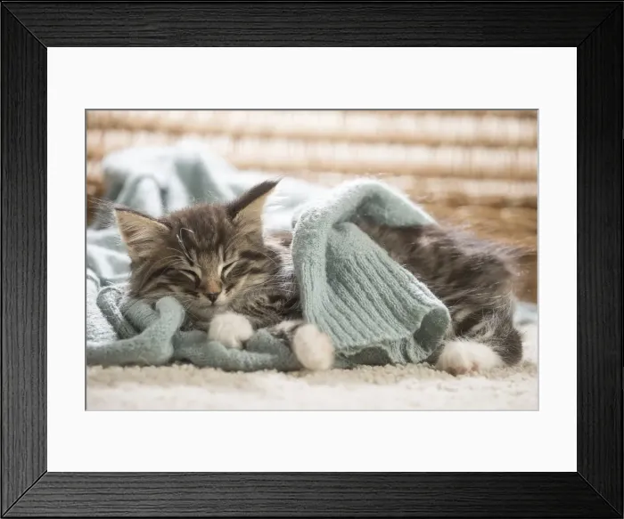 Framed Print : Picture No. 11981314 Framed Print : Picture No. 11981314