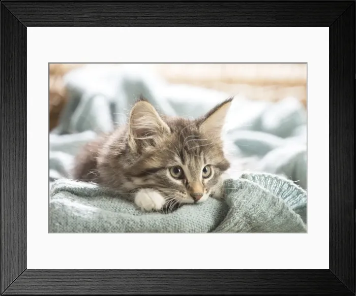 Framed Print : Picture No. 11981315 Framed Print : Picture No. 11981315