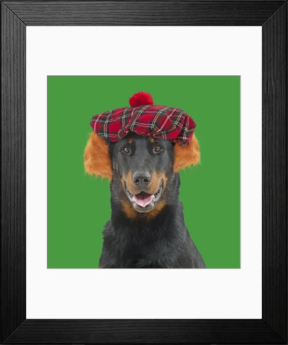 Framed Print : Picture No. 11982334 Framed Print : Picture No. 11982334