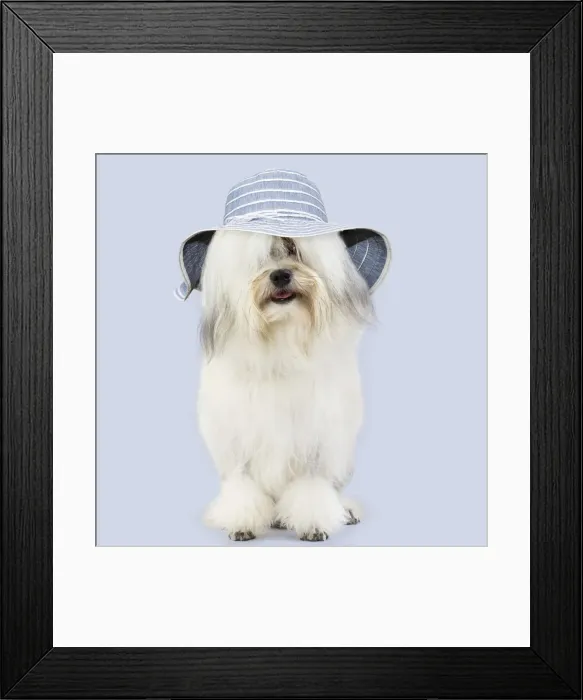 Framed Print : Picture No. 11982335 Framed Print : Picture No. 11982335