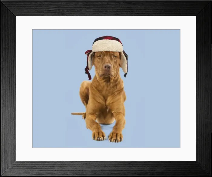Framed Print : Picture No. 11982337 Framed Print : Picture No. 11982337