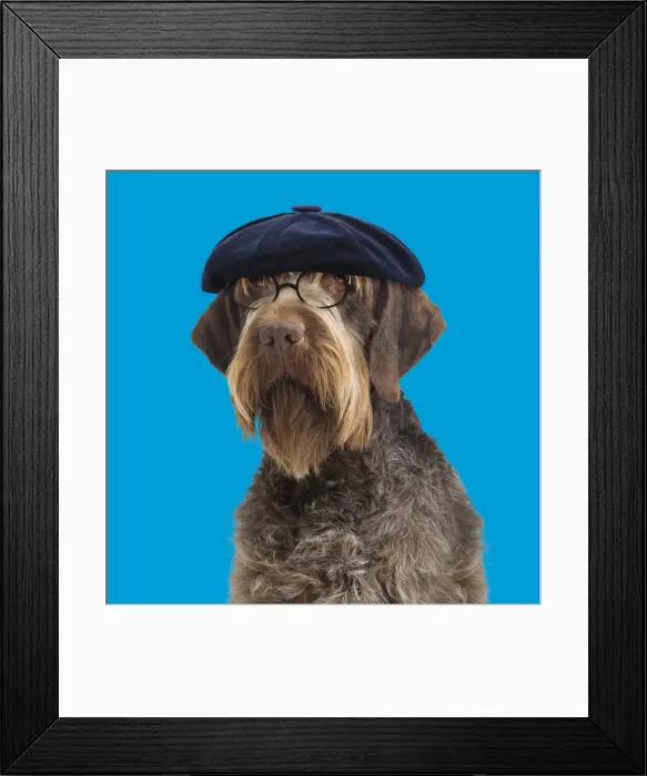 Framed Print : Picture No. 11982338 Framed Print : Picture No. 11982338