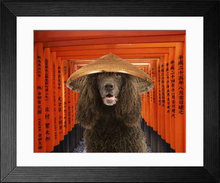 Framed Print : Picture No. 11982341 Framed Print : Picture No. 11982341