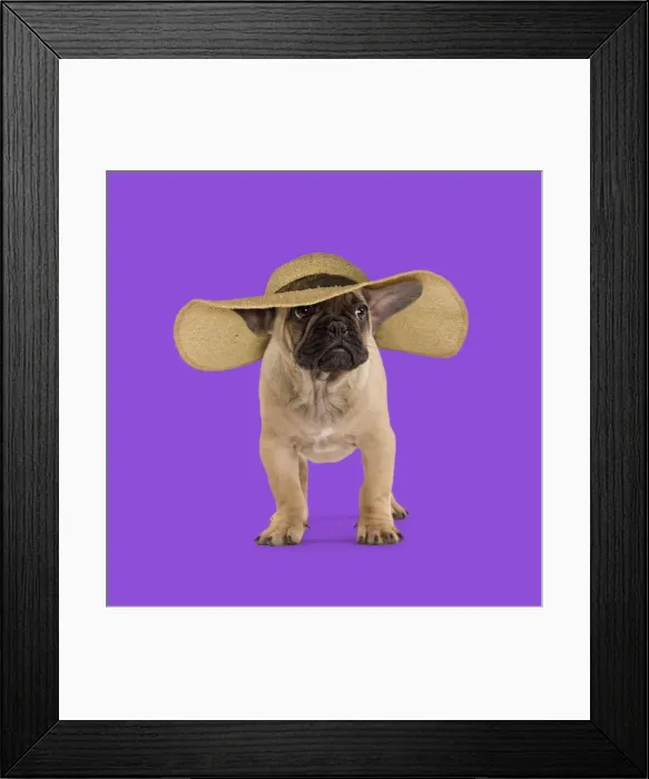 Framed Print : Picture No. 11982346 Framed Print : Picture No. 11982346