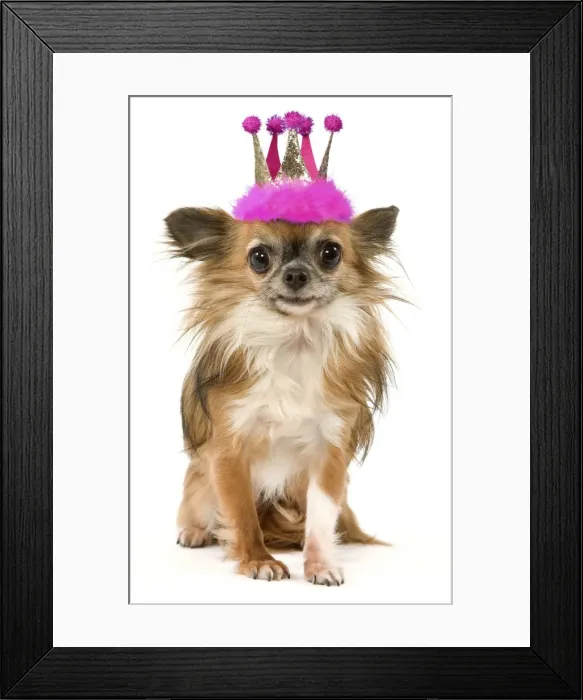 Framed Print : Picture No. 11982356 Framed Print : Picture No. 11982356