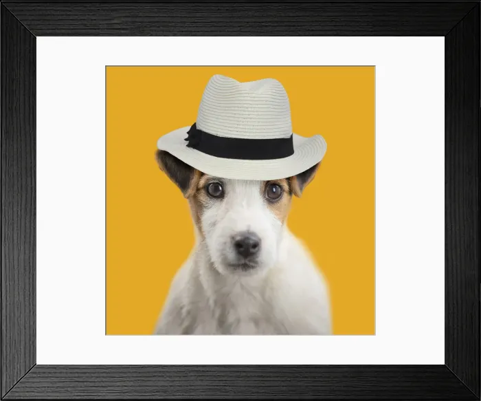 Framed Print : Picture No. 11982364 Framed Print : Picture No. 11982364