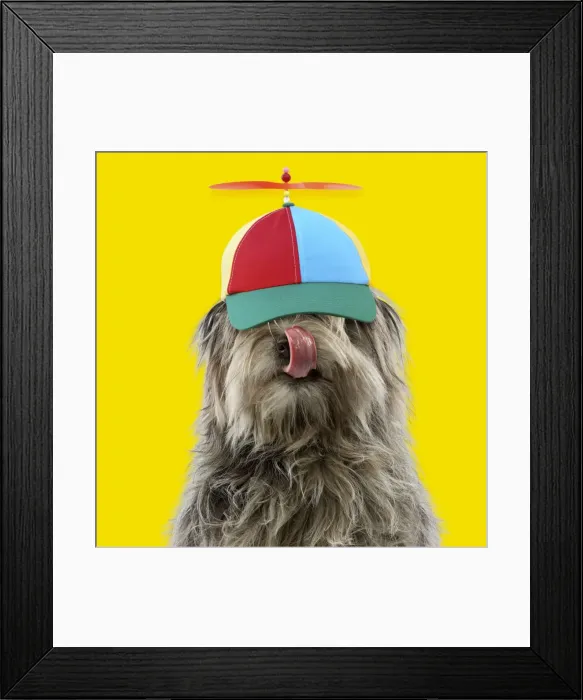 Framed Print : Picture No. 11982365 Framed Print : Picture No. 11982365
