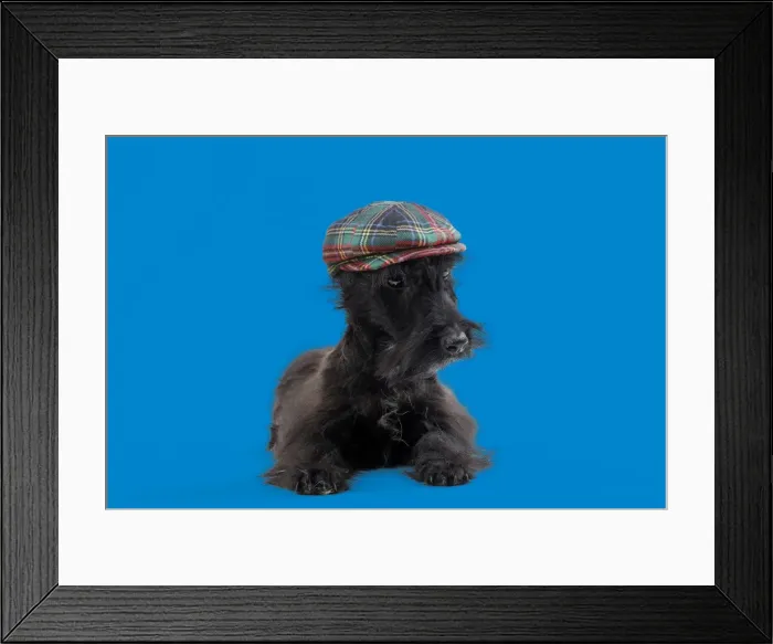 Framed Print : Picture No. 11982367 Framed Print : Picture No. 11982367