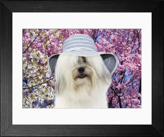 Framed Print : Picture No. 11982371 Framed Print : Picture No. 11982371