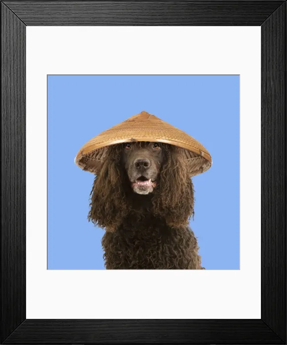 Framed Print : Picture No. 11982372 Framed Print : Picture No. 11982372