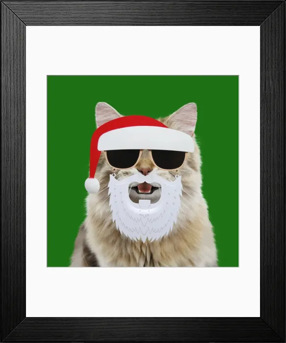 Framed Print : Picture No. 11982375 Framed Print : Picture No. 11982375
