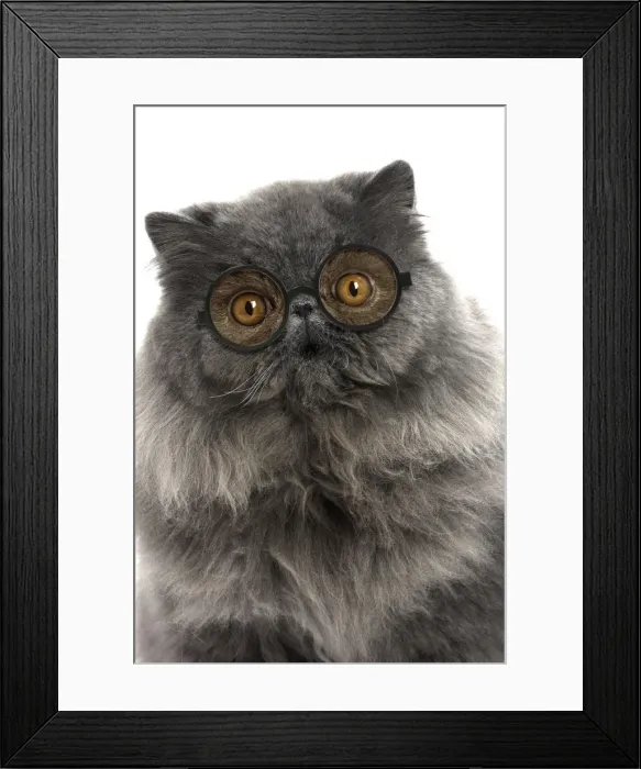 Framed Print : Picture No. 11982386 Framed Print : Picture No. 11982386