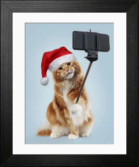 Framed Print : Picture No. 11982387 Framed Print : Picture No. 11982387