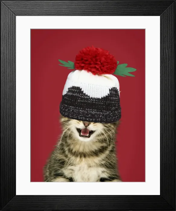 Framed Print : Picture No. 11982317 Framed Print : Picture No. 11982317