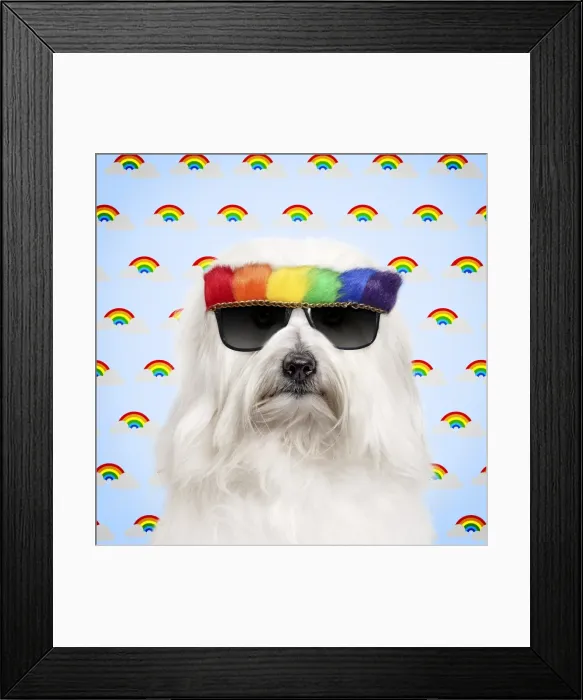 Framed Print : Picture No. 11982407 Framed Print : Picture No. 11982407