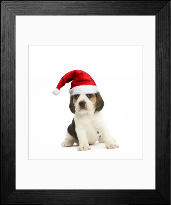 Framed Print : Picture No. 11982408 Framed Print : Picture No. 11982408