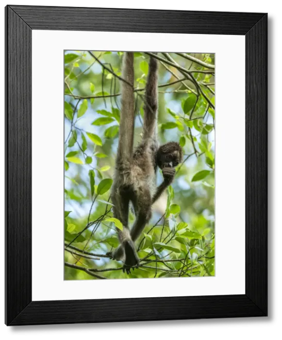 Framed Print : Picture No. 11980735 Framed Print : Picture No. 11980735