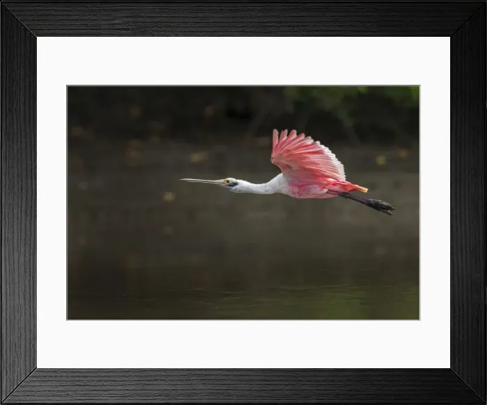 Framed Print : Picture No. 11980763 Framed Print : Picture No. 11980763