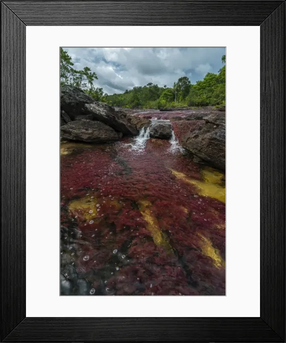 Framed Print : Picture No. 11980774 Framed Print : Picture No. 11980774