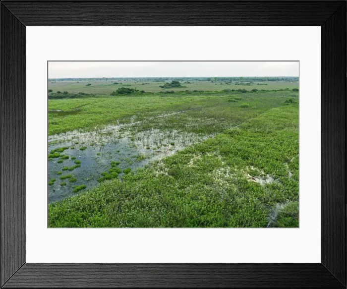 Framed Print : Picture No. 11980775 Framed Print : Picture No. 11980775