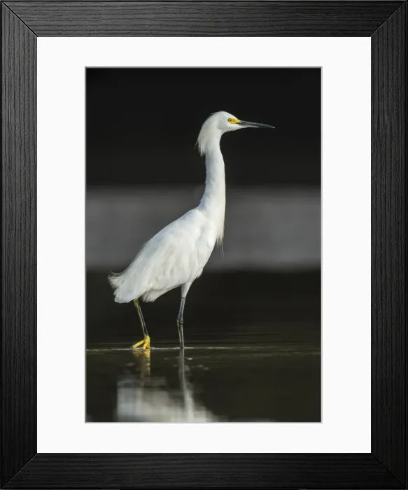 Framed Print : Picture No. 11980788 Framed Print : Picture No. 11980788