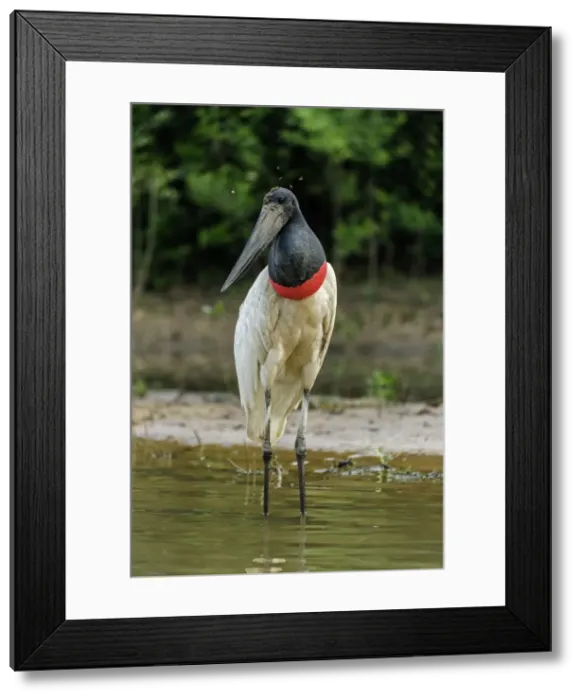 Framed Print : Picture No. 11980804 Framed Print : Picture No. 11980804