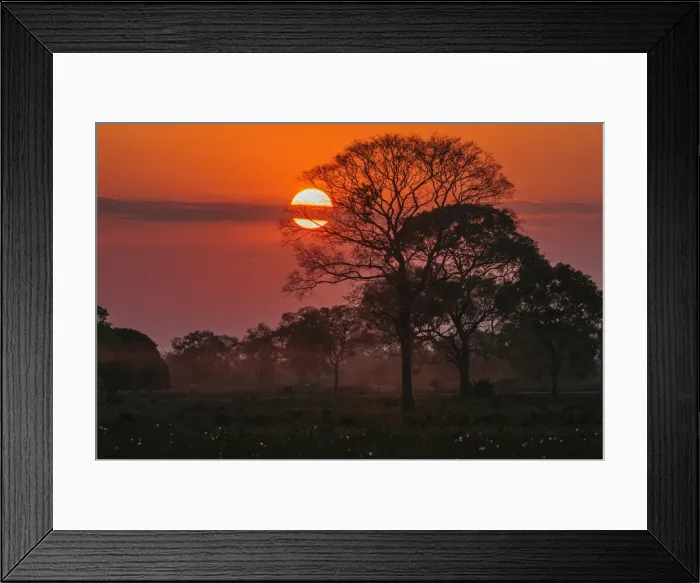 Framed Print : Picture No. 11980864