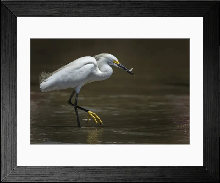 Framed Print : Picture No. 11980866 Framed Print : Picture No. 11980866