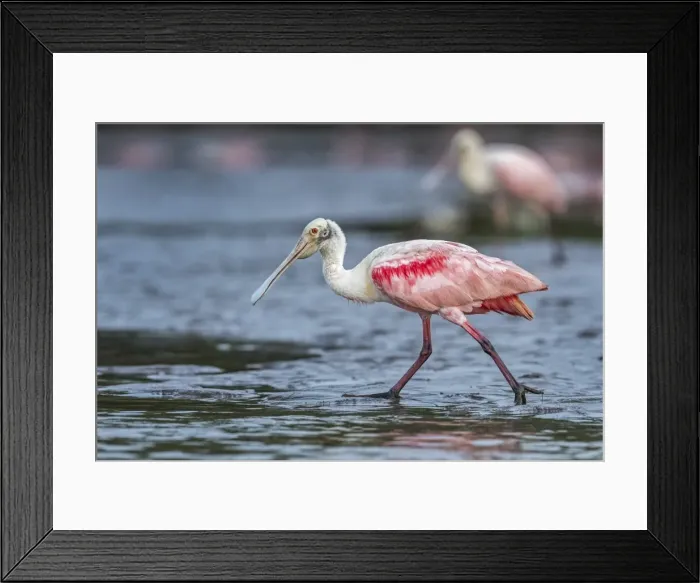 Framed Print : Picture No. 11980867 Framed Print : Picture No. 11980867