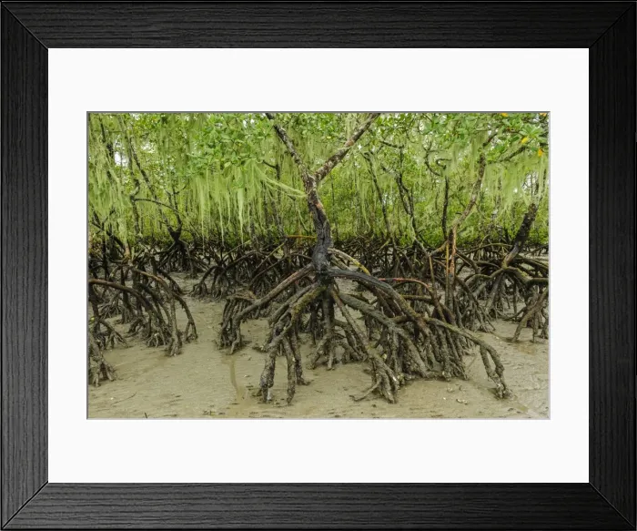 Framed Print : Picture No. 11980875 Framed Print : Picture No. 11980875
