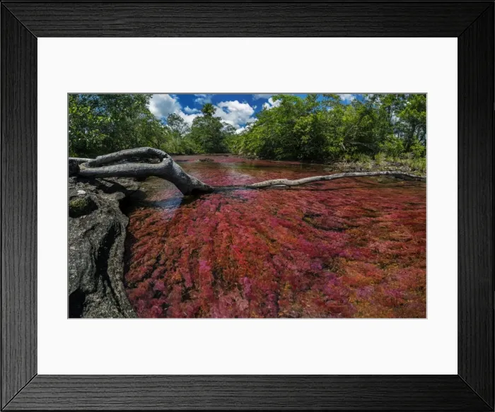 Framed Print : Picture No. 11980879 Framed Print : Picture No. 11980879