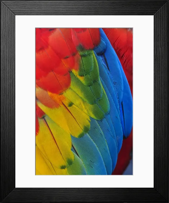 Framed Print : Picture No. 11980880 Framed Print : Picture No. 11980880