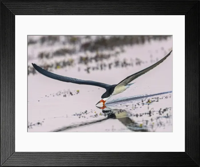 Framed Print : Picture No. 11980905 Framed Print : Picture No. 11980905