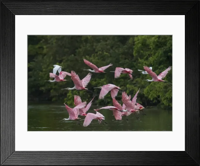Framed Print : Picture No. 11980943 Framed Print : Picture No. 11980943