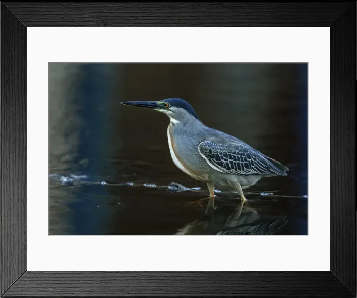 Framed Print : Picture No. 11980948 Framed Print : Picture No. 11980948