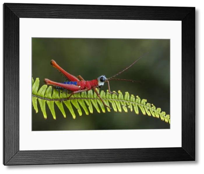 Framed Print : Picture No. 11980956 Framed Print : Picture No. 11980956