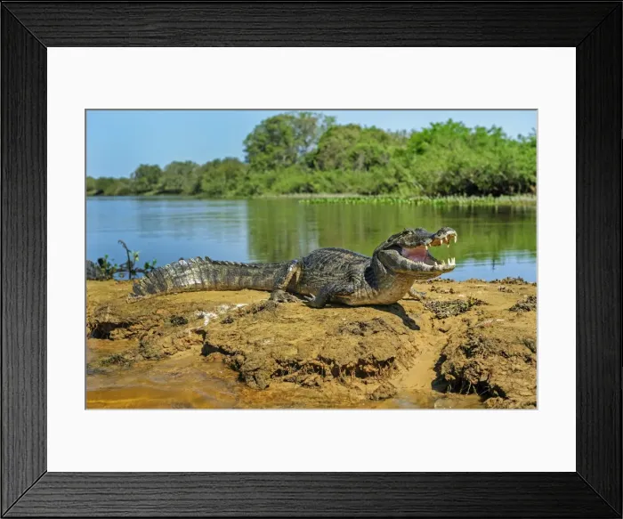 Framed Print : Picture No. 11980965 Framed Print : Picture No. 11980965