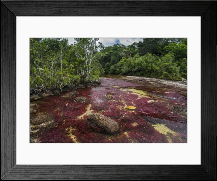 Framed Print : Picture No. 11980988 Framed Print : Picture No. 11980988