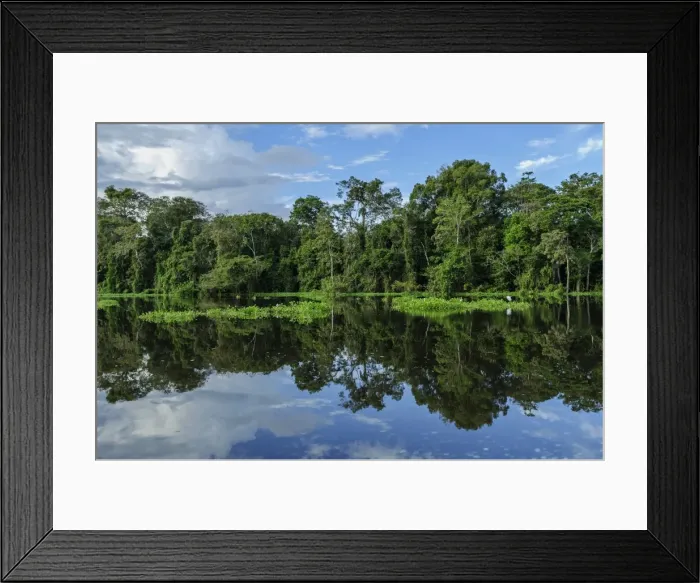 Framed Print : Picture No. 11980996 Framed Print : Picture No. 11980996