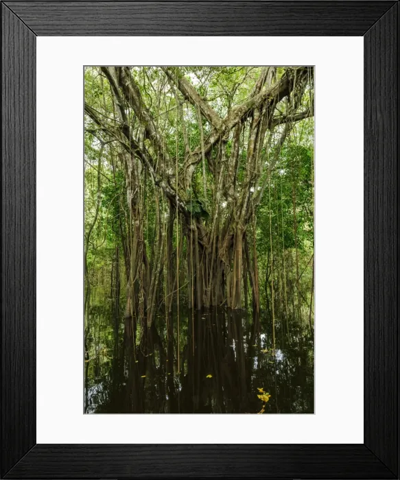 Framed Print : Picture No. 11981126 Framed Print : Picture No. 11981126