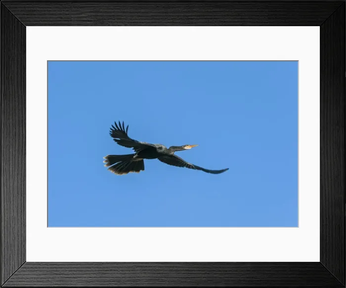 Framed Print : Picture No. 11981140 Framed Print : Picture No. 11981140