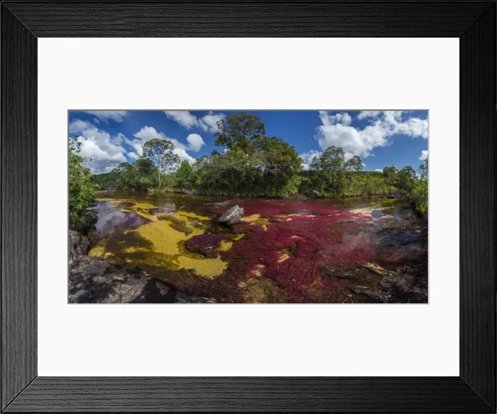 Framed Print : Picture No. 11981144 Framed Print : Picture No. 11981144