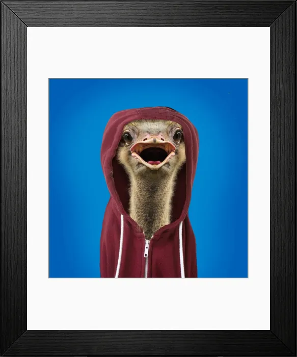 Framed Print : Picture No. 11982384 Framed Print : Picture No. 11982384