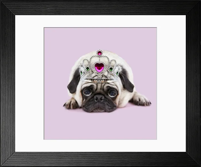 Framed Print : Picture No. 11982358 Framed Print : Picture No. 11982358
